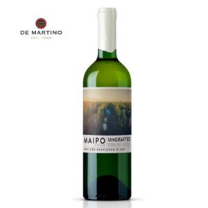 https://www.brotherwoodlatienda.cl/wp-content/uploads/2023/12/unsemillon-web-300x300.jpg