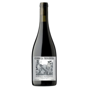 https://www.brotherwoodlatienda.cl/wp-content/uploads/2025/07/cerrowebfinal-web-300x300.jpg