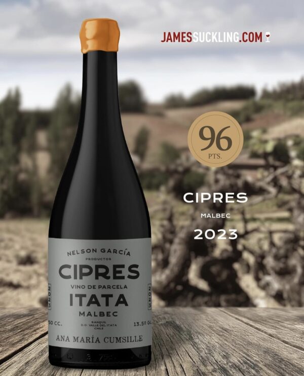 Ana María Cumsille - CIPRES- MALBEC 2023 (nuevo)