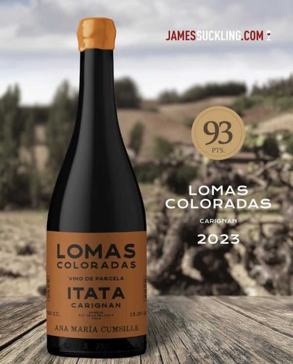Ana María Cumsille - Lomas Coloradas 2023- Carignan