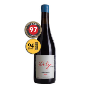 https://www.brotherwoodlatienda.cl/wp-content/uploads/2025/08/pinot-web-300x300.jpg